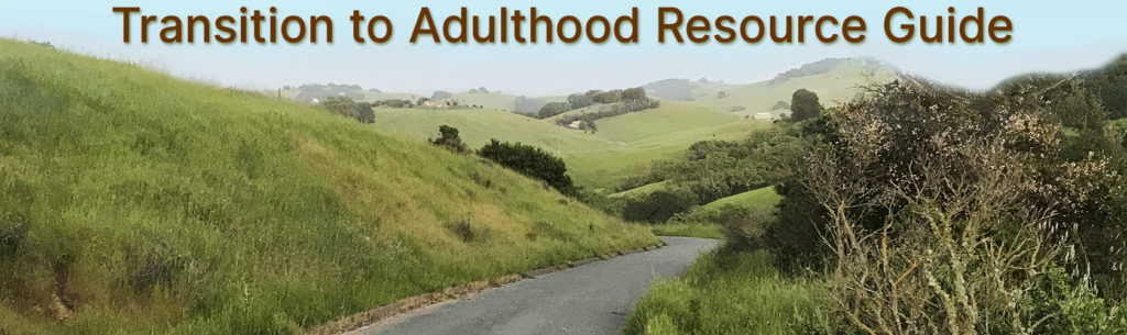 Transition to Adulthood Resource Guide