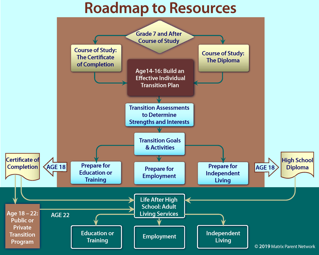 Transition to Adulthood chart