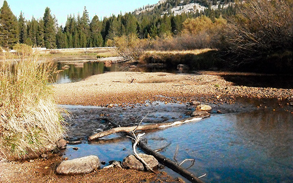 peaceful mountain stream