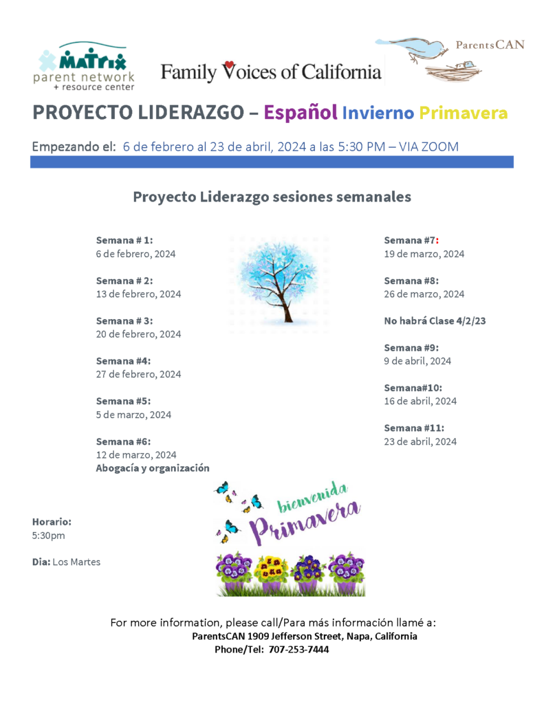 PROJECTO LIDERAZGO Español Invierno Primavera foletto